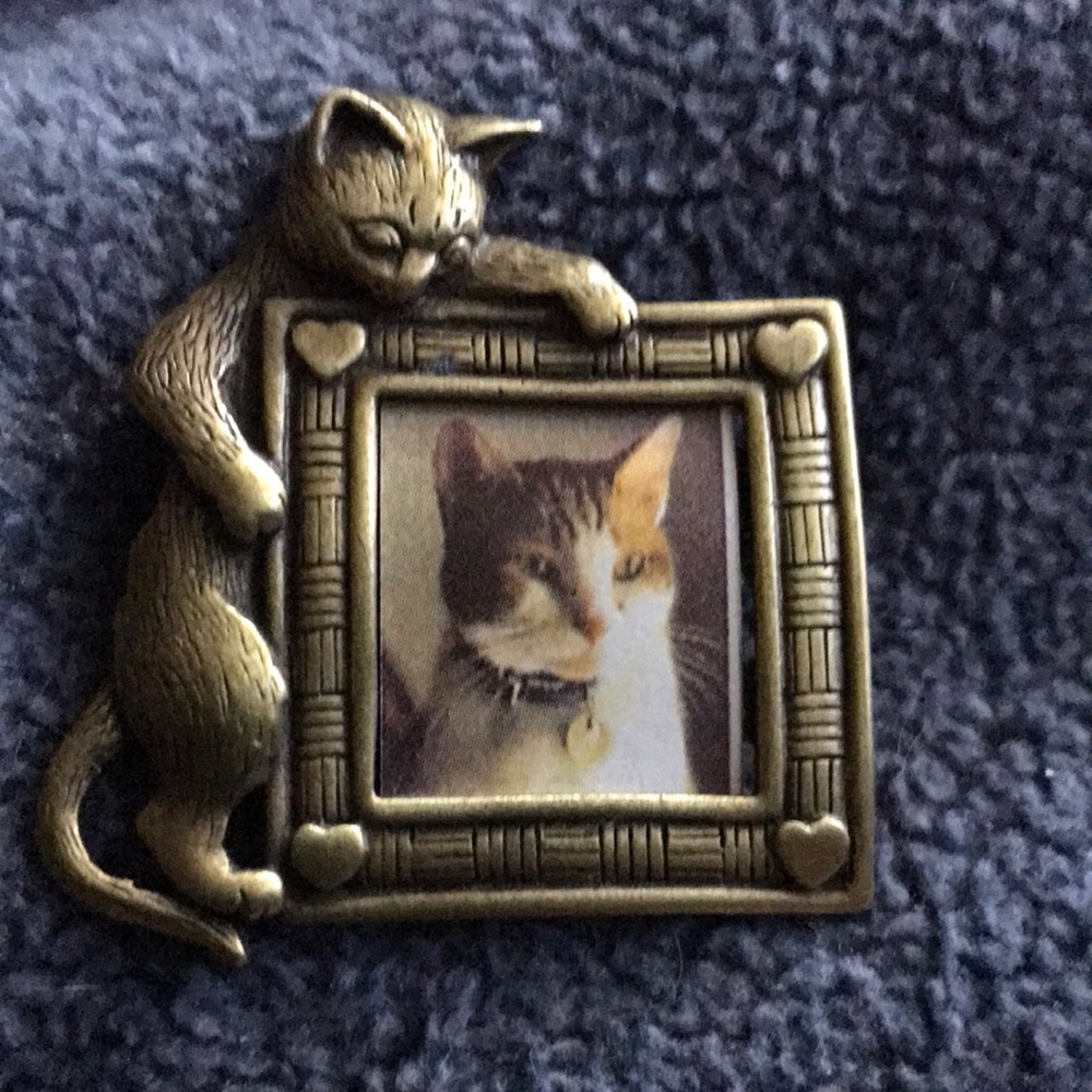 Cat gold tone pin